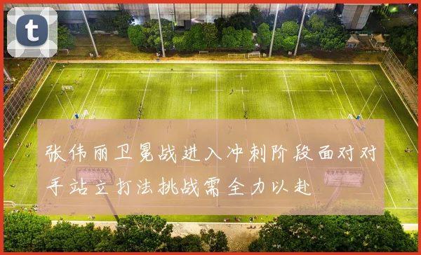 张伟丽卫冕战进入冲刺阶段面对对手站立打法挑战需全力以赴